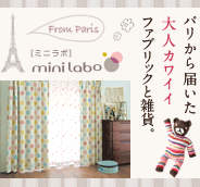 �ѥ�ȯ�βİ����ߥ˥�ܡ�mini labo)�Υ���ƥꥢ������