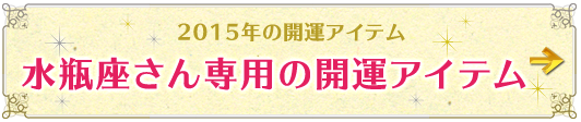 水瓶座さん専用アイテムはこちらから