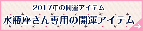 水瓶座さん専用アイテムはこちらから