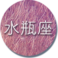 水瓶座