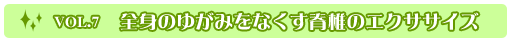 vol.7 全身のゆがみをなくす脊椎のエクササイズ vol.7 全身のゆがみをなくす脊椎のエクササイズ