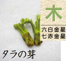 タラの芽