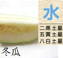 冬瓜