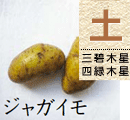 ジャガイモ