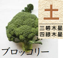 ブロッコリー