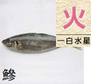 鰺