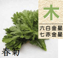 春菊