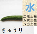 きゅうり
